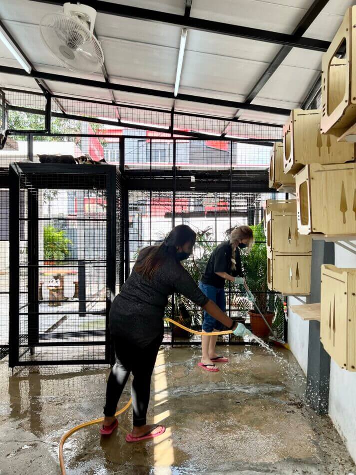 Galeri Animal Malaysia 4