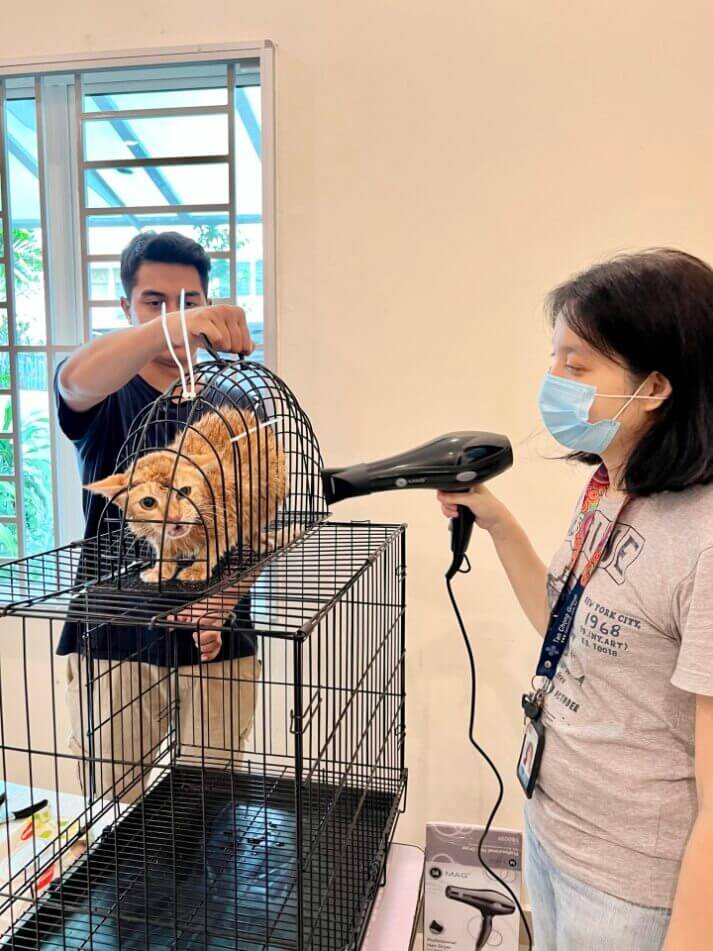 Galeri Animal Malaysia 5