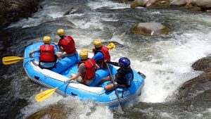 IMG_20240309_130105_3